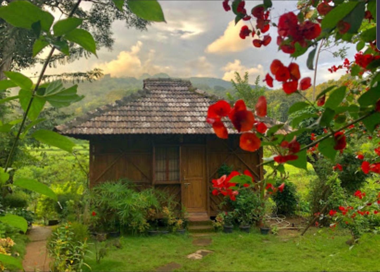 Jungle Retreat Wayanad Villa Exterior photo