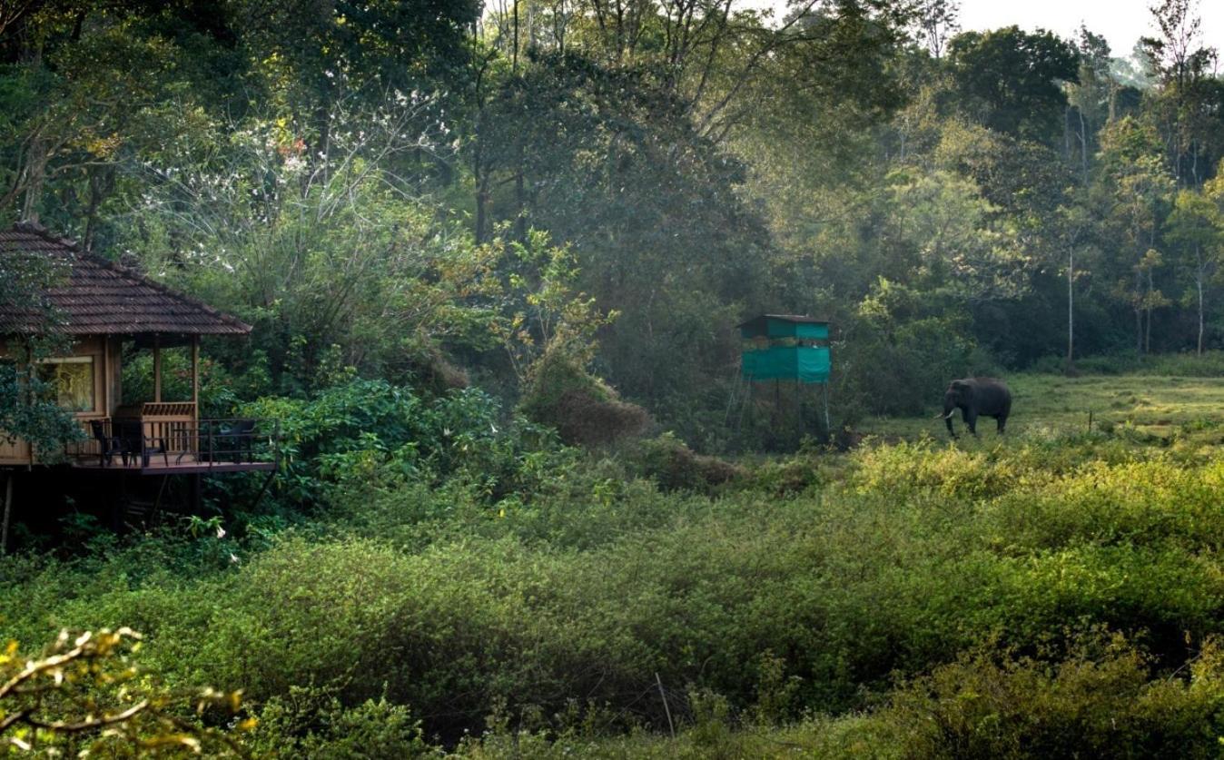 Jungle Retreat Wayanad Villa Exterior photo