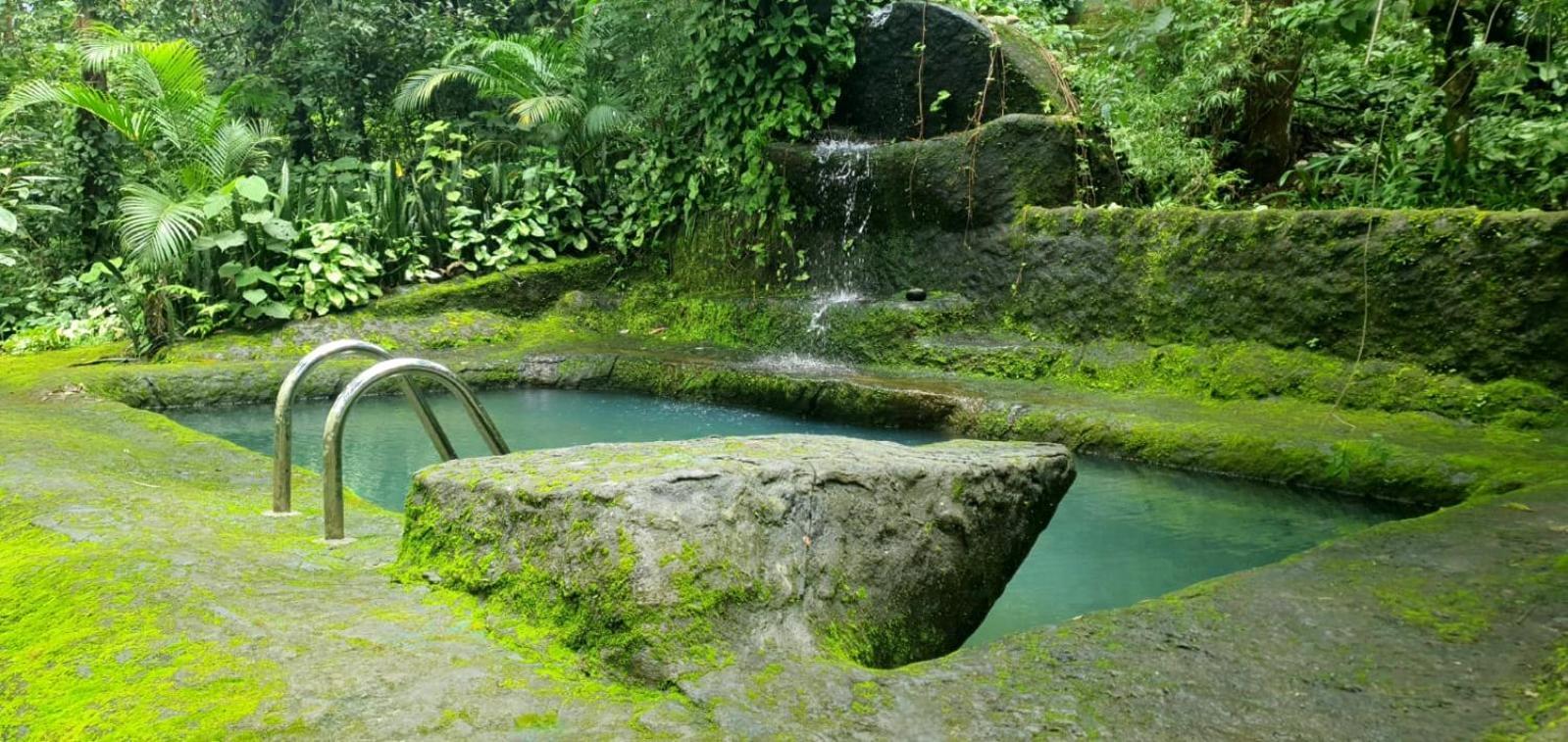 Jungle Retreat Wayanad Villa Exterior photo