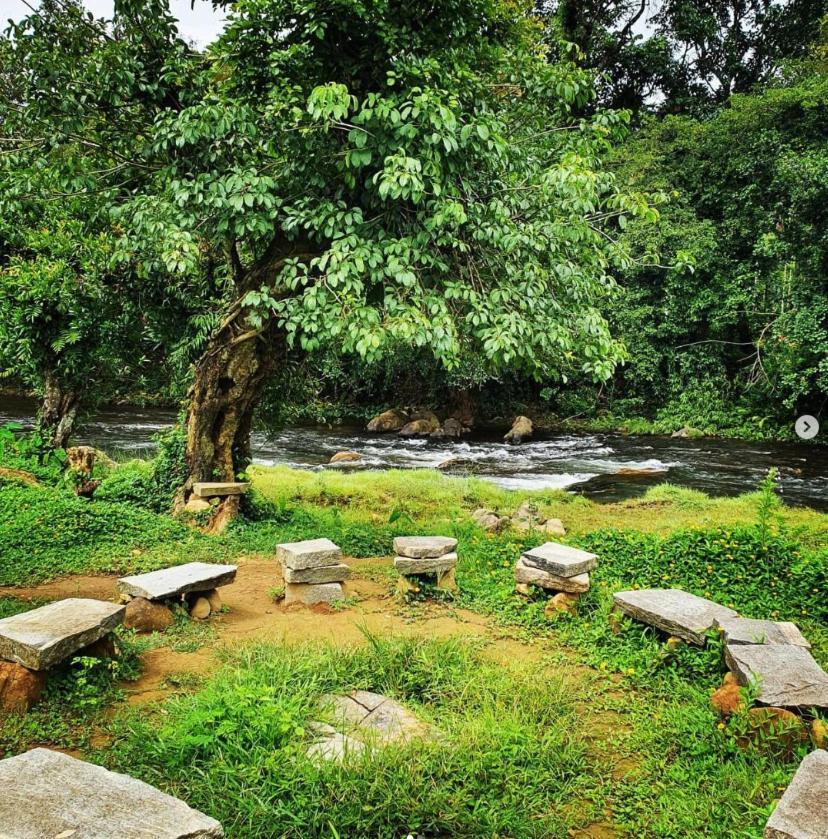 Jungle Retreat Wayanad Villa Exterior photo