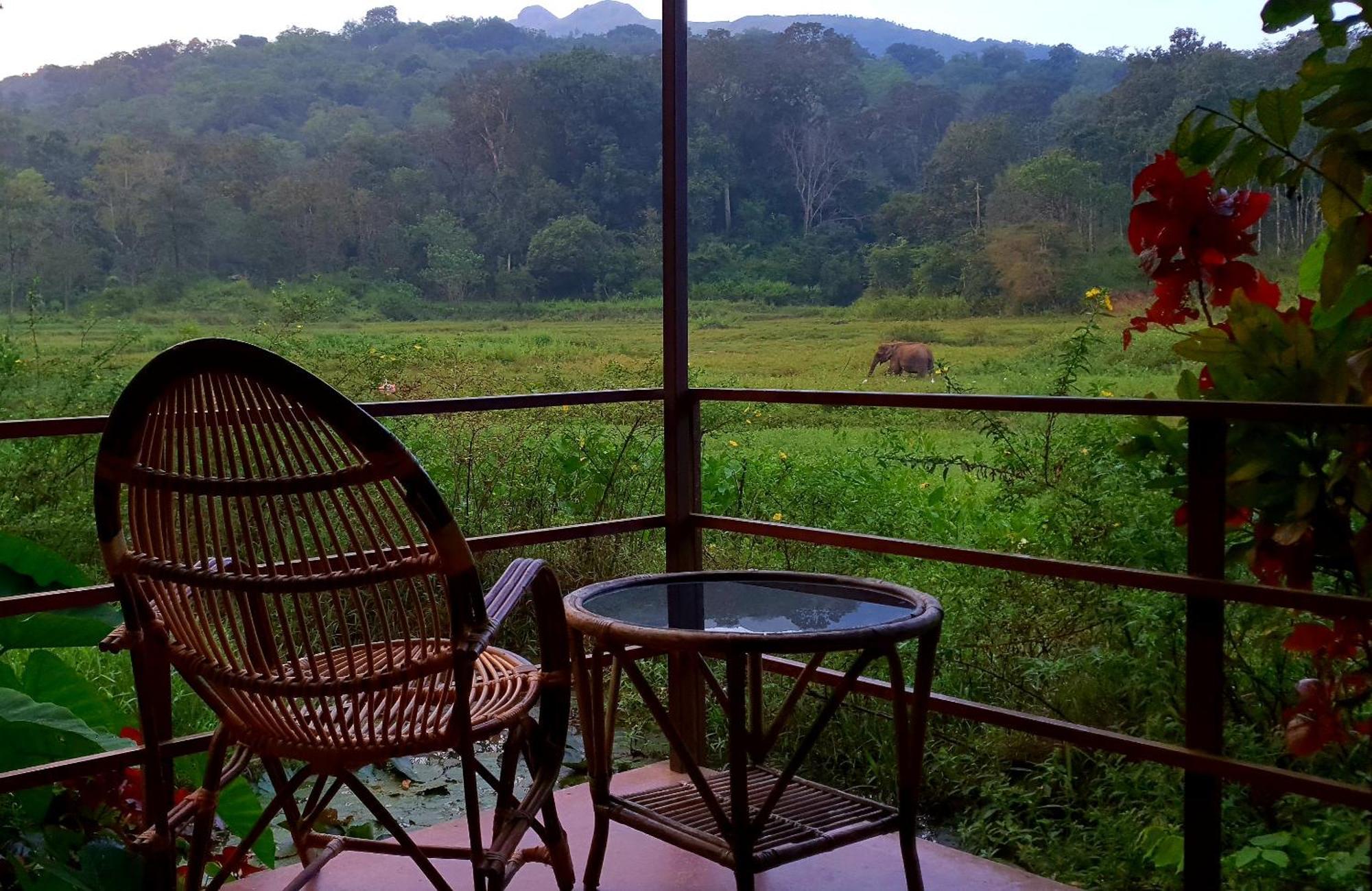 Jungle Retreat Wayanad Villa Exterior photo